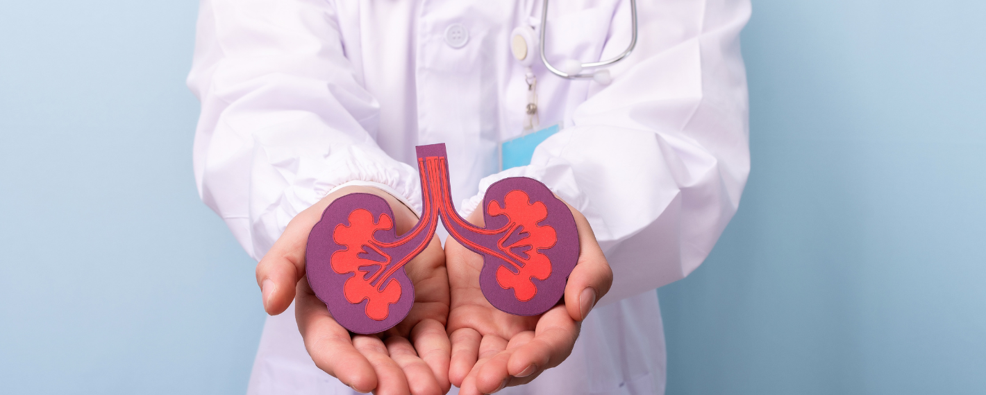 Urologia
